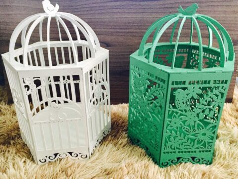 Gaiola Legal 2 DXF File