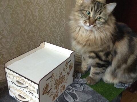 Laser Cut Chest of Drawers 3 4 mm Free Vector