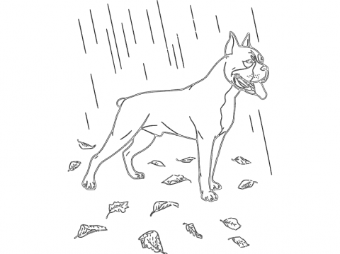 Boxer In The Rain dxf File