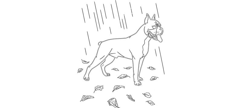 Boxer In The Rain dxf File