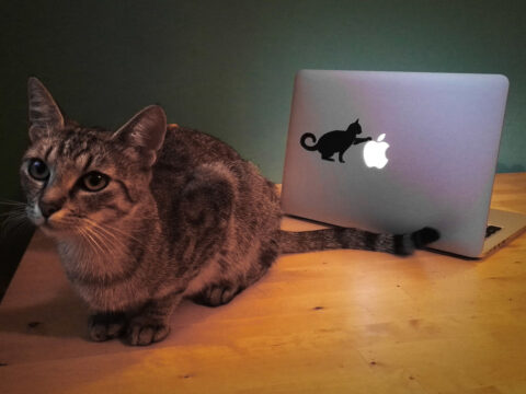 Laser Cut Laptop Sticker Cat 12x7cm DXF File