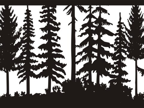 24 X 48 Just Trees Plasma Art DXF File