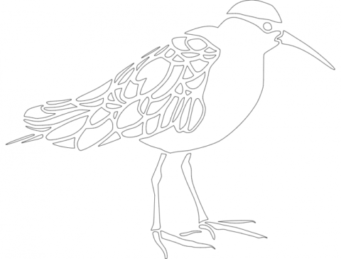 Bird dxf File