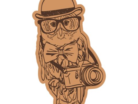 Owl Wearing Cap With Camera And Glasses Laser Cut Engraving Template Free Vector