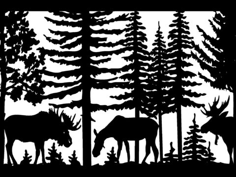 24 X 36 Two Bull Moose And Cow Plasma Art DXF File
