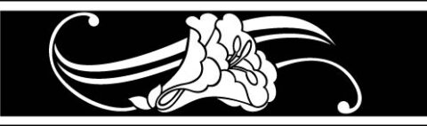 Border Design 18 Free Vector