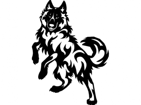 volk-01 880×640 dxf File