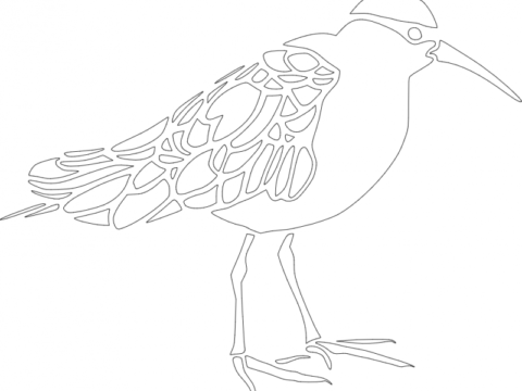 Bird dxf File