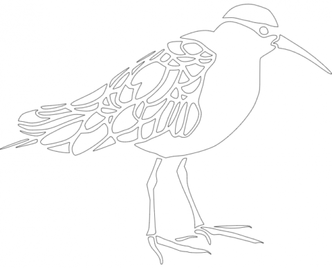 Bird dxf File