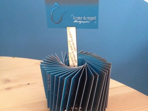 Laser Cut Circular Card Holder 5mm Plywood Free Vector