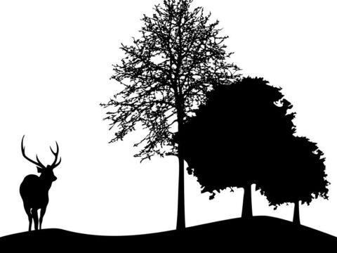 Deer And Tree Silhouette DXF File