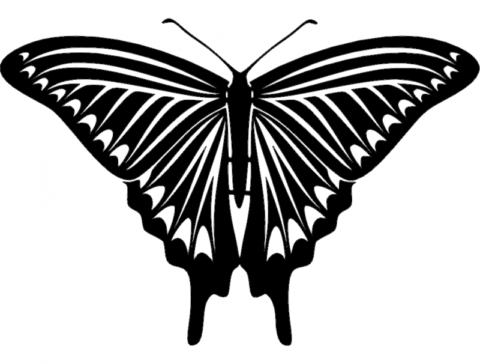 Butterfly 04 dxf File