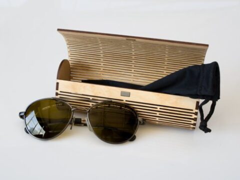 Futlyar Dlya Ochkov 2 Free Vector