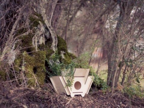 Laser Cut Nesting Box DXF File