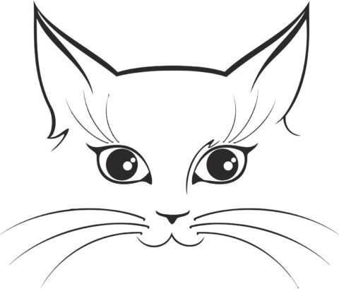 Cat Free Vector