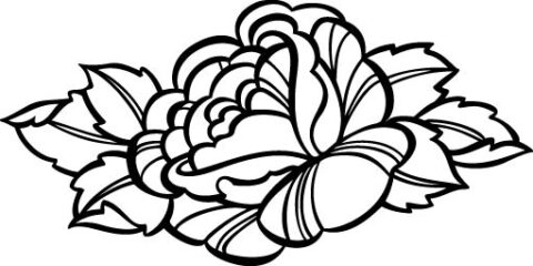Flower 12 Free Vector