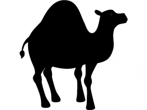 Camel Silhouette vector dxf File