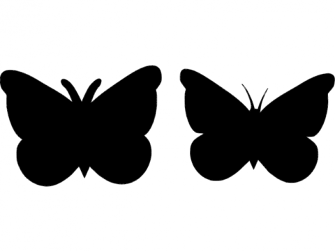 Butterfly 29 dxf File