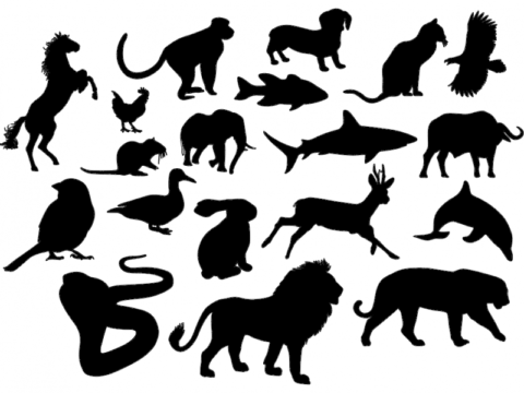 Animal Silhouettes dxf File