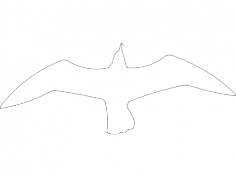 Gaivota dxf File