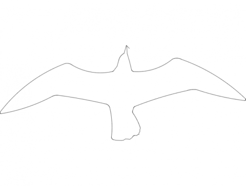 Gaivota dxf File