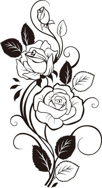Rose Vine Drawing Vector Art dxf File