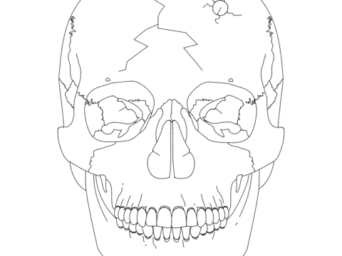 Skull 2 dxf File