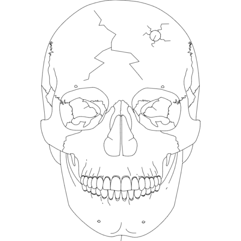 Skull 2 dxf File