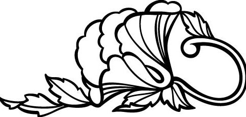Flower 08 Free Vector