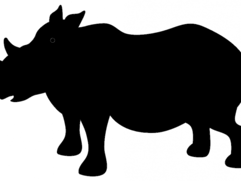Rhino Silhouette dxf File