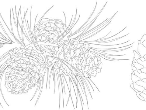 Khvoya Vetka Free Vector