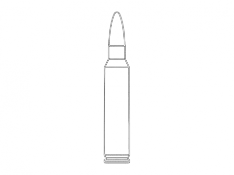 223 Ammo dxf File