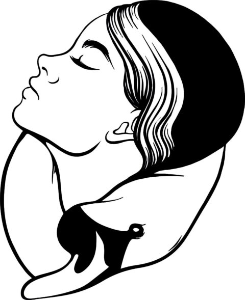 Beauty women face vector Art jpg Image