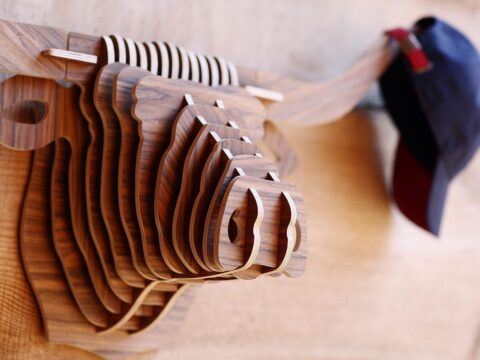 Golova Buyvola Free Vector