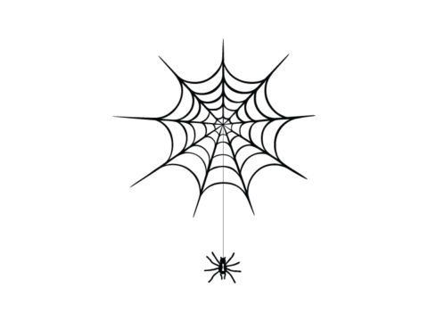 Spiderweb dxf File