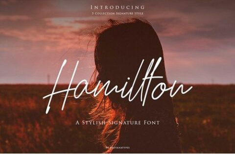 Hamilton Script Font Free