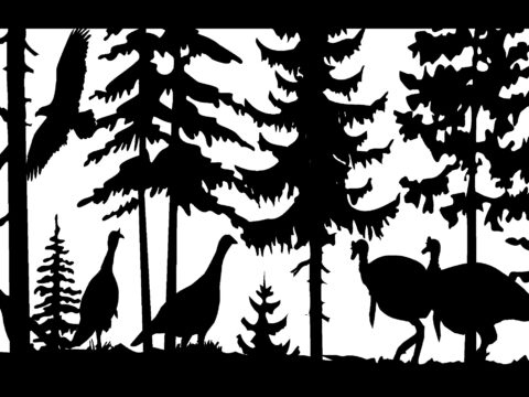 28 X 48 4 Turkeys And Eagle Plasma Art DXF File