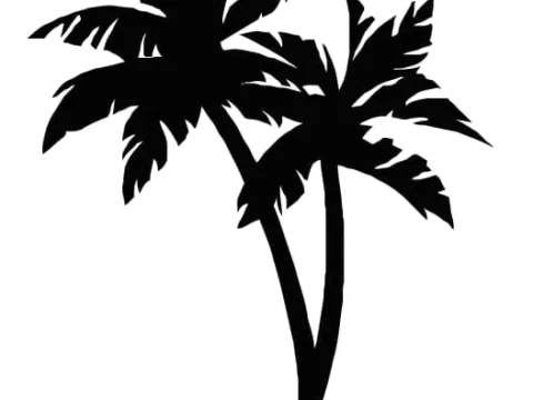 palm tree svg