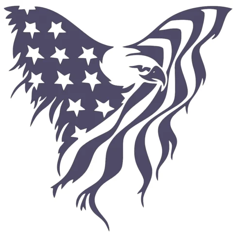 the american flag eagle