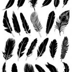 Black-Feather-Vector-Collection-Free-Vector.jpg