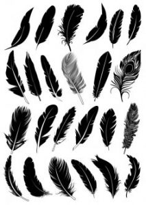 Black-Feather-Vector-Collection-Free-Vector.jpg