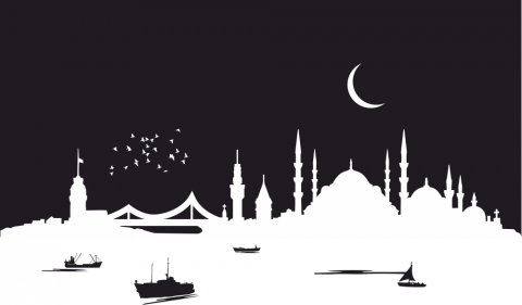 Istanbul-City-Skyline-Silhouette-Vector-Art-Free-Vector.png