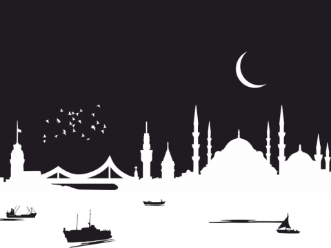 Istanbul-City-Skyline-Silhouette-Vector-Art-Free-Vector.png